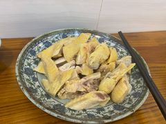-九斤黄三黄鸡专卖店