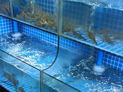 水产区-吉源大排档·鱼生·海鲜(烧烤彩印厂店)