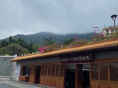 -深圳仙湖植物园