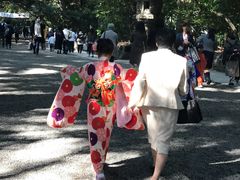 节日盛装的孩子们-热田神宫