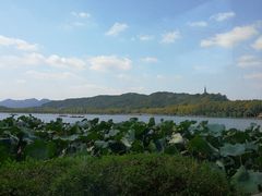 -湖畔居茶楼(湖滨店)