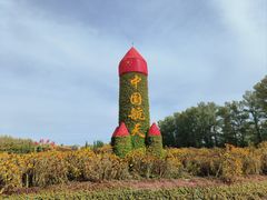 -金塔沙漠胡杨林景区