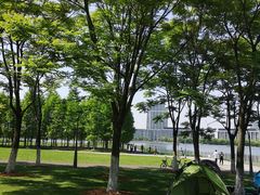 -尚贤河湿地