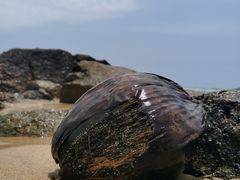 -日月湾海门游览区