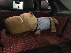 -PAWTOY爪e玩偶店(天兴罗斯福店)