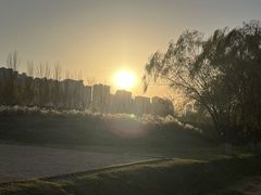 -汉长安城未央宫国家考古遗址公园