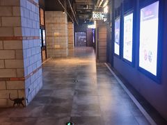 -CGV影城(万象城激光IMAX店)