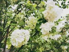 -大龙山(地铁站)