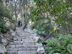 -大岭沟猕猴桃谷风景区