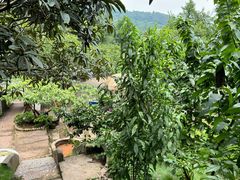 -桃源山庄·水蜜桃采摘·柴火鸡·烧烤团建(龙泉山店)