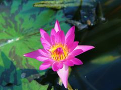 -国家植物园南园