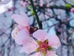 -重庆工商大学(南岸校区)