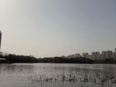 -南翔镇银翔湖公园