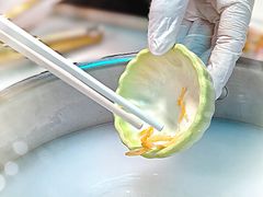 -喜聚薈·花膠雞海鮮火鍋(越秀店)