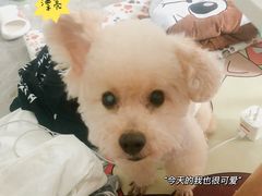 -有宠宠物(YOUCOIN·未来店)