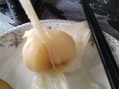 -鑫龙火锅城(青岛分店)
