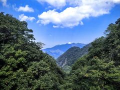 -广州市石门国家森林公园