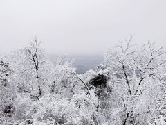 -紫金山山顶公园