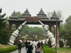 -太阳部落