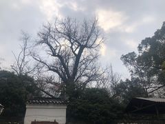 -西湖风景区十里琅珰-五云山