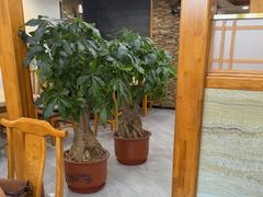 -真利味·脊骨火锅·正宗韩国料理(韩乐坊店)