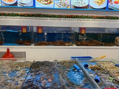-北塘海鲜·天津菜·鲅鱼水饺是一绝(大光明桥旗舰店)
