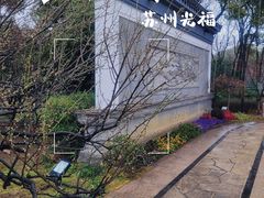 -香雪海