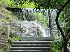 -东莞市大岭山森林公园