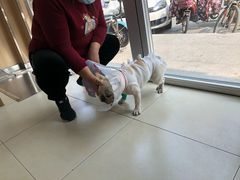 -宠福鑫康馨动物医院·骨科·眼科