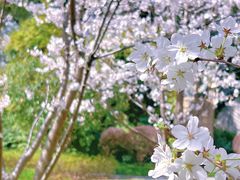 -徐家汇源景区-衡山公园