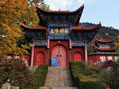 -遵化市禅林寺古银杏风景园