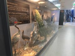 -烟台自然博物馆