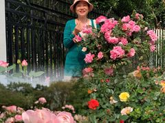 -人民公园(罗湖区)