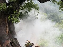 -杨家堂村