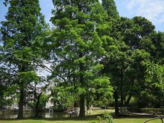 -安徽大学(龙河校区)