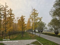 -汉长安城未央宫国家考古遗址公园