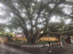 -桂林独秀峰王城景区