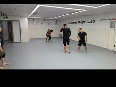 -EFL巴西柔术·综合格斗·泰拳·少儿体能训练(虹桥德必馆)