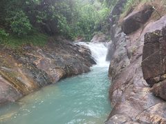 -广州白江湖森林公园