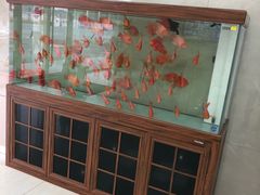-诺贝川口腔(春都路旗舰店)