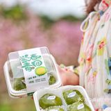 有些食物就是为春天而生的啊!