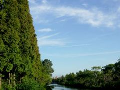 园内风景-上海怡沁园度假酒店