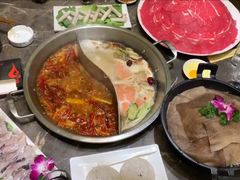 -阳阳老火锅(小南门店)