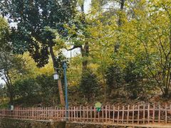 -敬亭山风景名胜区