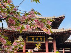 -西安青龙寺遗址景区