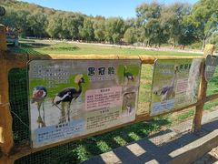 -哈尔滨北方森林动物园