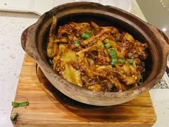 鱼香茄子煲-千日贺茶餐厅(高新万达店)