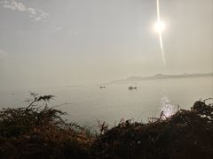 -原龙海鲜大排档(美食地标店)