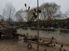 -西安秦岭野生动物园