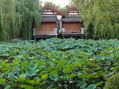 -深业半汤御泉庄温泉